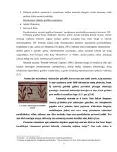 Judesio objektiškai orientuoto projektavimo modeliai 8 puslapis