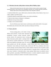 Kaimo turizmo plėtra Molėtų rajone 20 puslapis