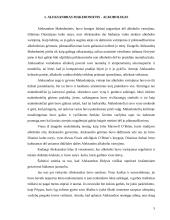 Aleksandras Makedonietis – žmogus 5 puslapis