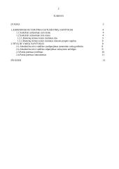Asmeniniai ir turtiniai sutuoktinių santykiai. Tėvų ir vaikų santykiai 2 puslapis