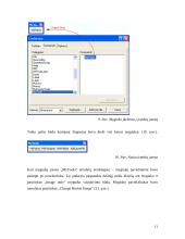 Praktika su ArcMap programa 11 puslapis