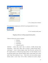 Praktika su ArcMap programa 12 puslapis