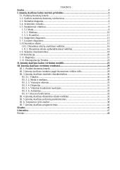 Įmonių skaičiaus kitimo 2000-2005 metais vertinimas 2 puslapis