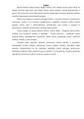 Įmonių skaičiaus kitimo 2000-2005 metais vertinimas 3 puslapis