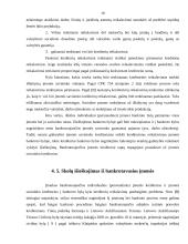 Individualių įmonių bankroto ypatumai 18 puslapis