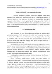 Informacijos apsaugos kompiuteriuose priemonės ir jų taikymas 17 puslapis
