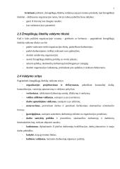 Kompiuterizuotų personalo valdymo sistemų analizė 6 puslapis