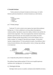 Metaduomenų panaudojimas turinio valdymo sistemose 13 puslapis