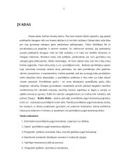 Paveldėjimas ir įpėdiniai pagal testamentą 3 puslapis