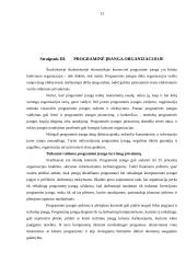 Programinė įranga organizacijoje 13 puslapis
