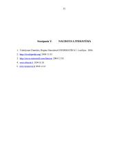 Programinė įranga organizacijoje 15 puslapis