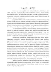 Programinė įranga organizacijoje 3 puslapis