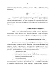 Programinė įranga organizacijoje 8 puslapis