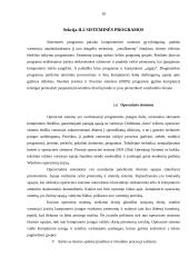 Programinė įranga organizacijoje 10 puslapis