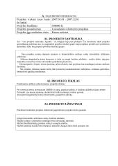 Projektinė paraiška: Laisvalaikio užimtumo projektas 2 puslapis