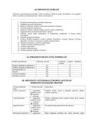 Projektinė paraiška: Laisvalaikio užimtumo projektas 3 puslapis