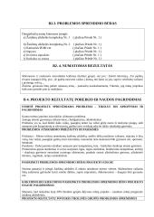 Projektinė paraiška: Laisvalaikio užimtumo projektas 8 puslapis