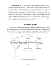 Spaudos formų gamybos technologijos ir įrenginių kursinis projektavimas 6 puslapis