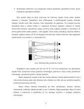 Spaudos formų gamybos technologijos ir įrenginių kursinis projektavimas 9 puslapis