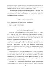 Šeimos teisė pagal Lietuvos Didžiosios Kunigaikštystės (LDK) statutus 20 puslapis