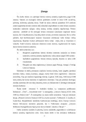Šeimos teisė pagal Lietuvos Didžiosios Kunigaikštystės (LDK) statutus 3 puslapis