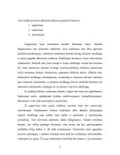 Vyriškos odinės avalynės gamyba 11 puslapis