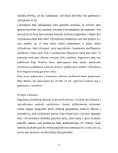 Vyriškos odinės avalynės gamyba 12 puslapis