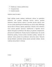 Vyriškos odinės avalynės gamyba 14 puslapis