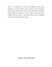 Vyriškos odinės avalynės gamyba 9 puslapis