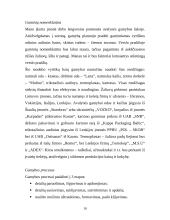 Vyriškos odinės avalynės gamyba 10 puslapis