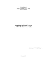 Individualios dienos planavimo galimybės 11 puslapis
