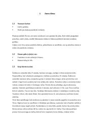 Individualios dienos planavimo galimybės 3 puslapis