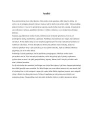 Individualios dienos planavimo galimybės 10 puslapis