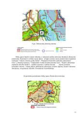 Teritorijų planavimas: Pasvalio, Biržų rajonų bendrojo plano sprendiniai 11 puslapis