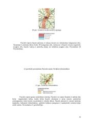 Teritorijų planavimas: Pasvalio, Biržų rajonų bendrojo plano sprendiniai 16 puslapis