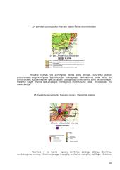Teritorijų planavimas: Pasvalio, Biržų rajonų bendrojo plano sprendiniai 18 puslapis
