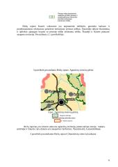 Teritorijų planavimas: Pasvalio, Biržų rajonų bendrojo plano sprendiniai 6 puslapis