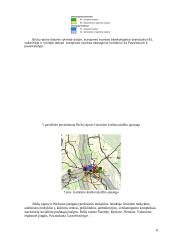 Teritorijų planavimas: Pasvalio, Biržų rajonų bendrojo plano sprendiniai 8 puslapis