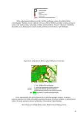 Teritorijų planavimas: Pasvalio, Biržų rajonų bendrojo plano sprendiniai 10 puslapis