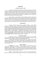 Aristotelio teorinė filosofija: pirmoji filosofija 13 puslapis