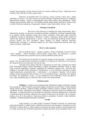 Aristotelio teorinė filosofija: pirmoji filosofija 14 puslapis