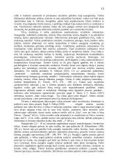Asmeninė pozicija 13 puslapis