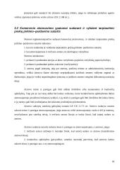 Atstovavimas civilinėje teisėje 17 puslapis