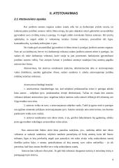 Atstovavimas civilinėje teisėje 3 puslapis