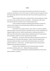 Augmentinė ir alternatyvioji komunikacija 2 puslapis