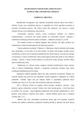 Baudžiamojo teisingumo modelis 3 puslapis