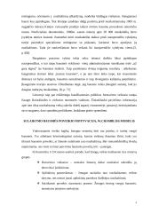 Baudžiamojo teisingumo modelis 5 puslapis