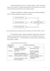 Baudžiamojo teisingumo modelis 6 puslapis