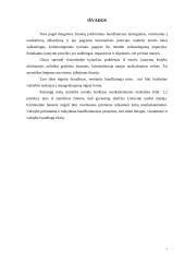 Baudžiamojo teisingumo modelis 8 puslapis