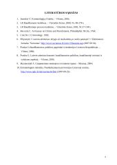 Baudžiamojo teisingumo modelis 9 puslapis